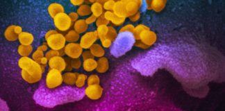 World experts and funders set priorities for COVID-19 research