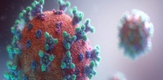 Mylab receives approval for Covid-19 diagnostic test kit