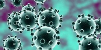 Efforts of DRDO in India’s fight against coronavirus governance
