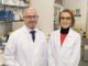 Researchers develop new coating to reduce pain and risk of infection for catheter users catheters