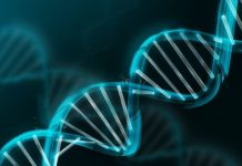 Merck receives US patent for CRISPR gene-editing technology