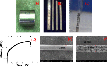 ARCI scientists develop next-generation biodegradable metal implants ARCI