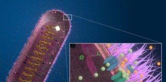 Surgical mask with Acteev technology shows efficacy