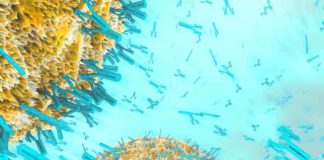 Sanofi invests in vaccine research and production