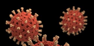 AI accelerates drug repurposing to find potential Covid-19 therapies AI