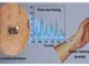 A Tattoo sensor for monitoring vital health parameters sensor