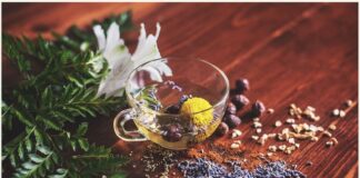 Ayush minister inaugurates RRDR at AIIA, New Delhi Ayush