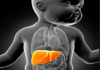 TPAF organizes webinar on Paediatric Liver Transplant Conclave Liver