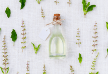 Source Natural Foods signs MOU with Verstegen Spices & Sauces Source Natural Foods and Herbal Supplements