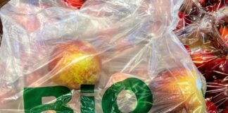 Plastindia 2022 to be held from 17-21 February 2022 Plastindia 2022 to be held from 17-21 February 2022 (Photo: John Cameron on Unsplash)