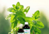 Dalmia gets nod from Ministry of Ayush for manufacturing of Astha-15 Dalmia