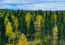 Sabic collaborates with Beiersdorf to implement sustainable cosmetics packaging Sabic