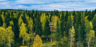 Sabic collaborates with Beiersdorf to implement sustainable cosmetics packaging Sabic