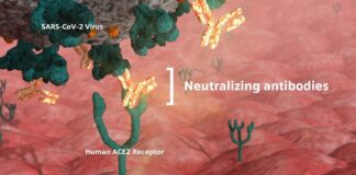 Siemens offers a quantitative Covid-19 test to measure neutralizing antibodies Siemens