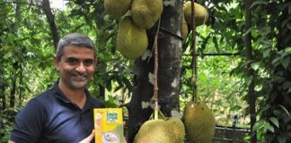 India’s homegrown green jackfruit flour for diabetes gets recognition from American Diabetes Association Jackfruit