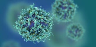New DNA research to combat cancers resistant to current standard treatments New DNA research lead by Queen's University Belfast could lead to treatments for cancer that have been resistant to standard cures Image QUB
