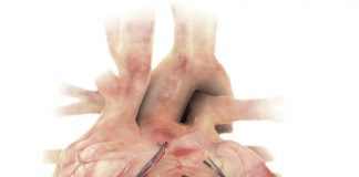 Pune-based Jeevtronics announces battery-less defibrillator IDTechEx