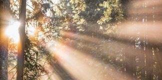 UPM Raflatac RAFNXT+ UPM