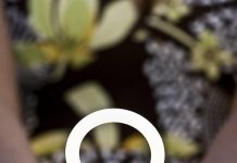 Long-acting option for HIV prevention approved for use HIV