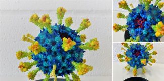 Biologic Models creates protein models using Mimaki 3DUJ-553 Mimaki