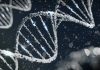 Aptamer Group signs deal with Flip Gene Therapeutics Aptamer Group has signed a deal with Flip Gene Therapeutics to support the development of gene therapy. Photo credit: Sangharsh Lohakare on Unsplash