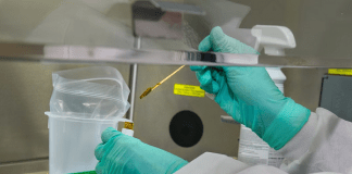 Agilent ties up with Mettler Toledo to cut errors in sample workflows The new solution will eliminate errors in sample preparation workflows at labs. Photo: CDC