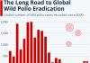 The Long Road to Global Wild Polio Eradication Polio