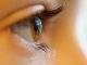 Johnson & Johnson Vision brings Tecnis Synergy Toric II OptiBlue PC-IOL to India Johnson & Johnson