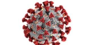 China’s Covid surge – India on alert but no need to panic yet Covid