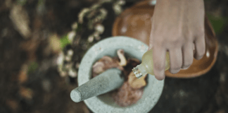 Ayush ministry to promote medical value travel Ayush