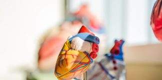 High homocysteine in blood can lead to heart issues homocysteine