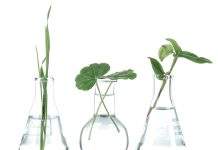 Lanxess aims to be climate-neutral by 2050 Lanxess