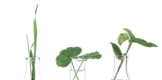 Lanxess aims to be climate-neutral by 2050 Lanxess