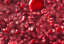 Prevention a better way to tackle thalassemia: Doctors Thalassemia