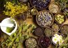 India plays a significant role in traditional medicine traditional
