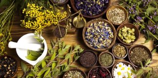 India plays a significant role in traditional medicine traditional