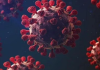 Covid-19’s Pirola variant sparks concern Covid-19