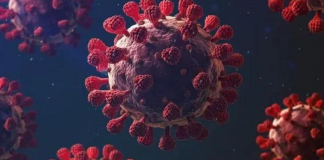 Covid-19’s Pirola variant sparks concern Covid-19