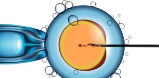 Nova IVF Fertility launches podcast, ‘Fertility Tales’ Nova