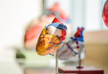 Carmat announces first implant of Aeson artificial heart Carmat