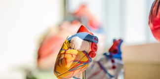 Carmat announces first implant of Aeson artificial heart Carmat