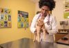 MaxPetZ performs high-pressure balloon valvuloplasty MaxPetZ