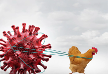 New Healthcare Ready report monitors Avian Influenza (H5N1) including supply chain Influenza