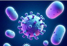 States on alert as HMPV cases rise States