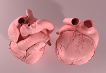 Apollo Heart Valve Clinic at Indraprastha Apollo Hospital Apollo