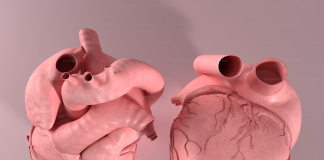 Apollo Heart Valve Clinic at Indraprastha Apollo Hospital Apollo