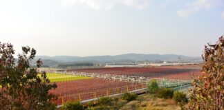 BGG’s new investment at world’s largest astaxanthin plant BGG