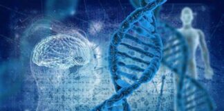 Collaboration of Vgenomics and Meril Genomics Vgenomics