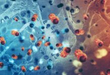 Pierre Fabre gets China nod for cancer drug Pierre