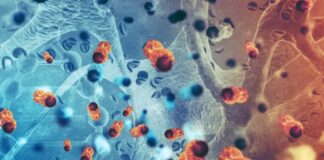 Pierre Fabre gets China nod for cancer drug Pierre